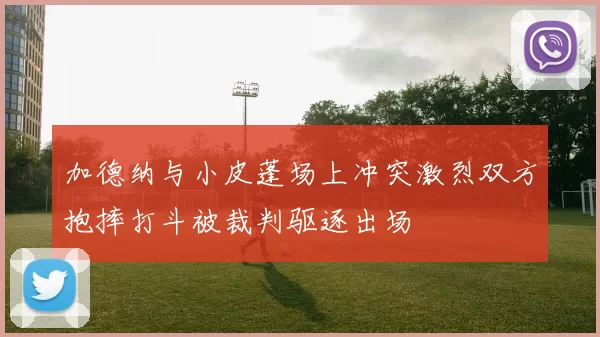 加德纳与小皮蓬场上冲突激烈双方抱摔打斗被裁判驱逐出场