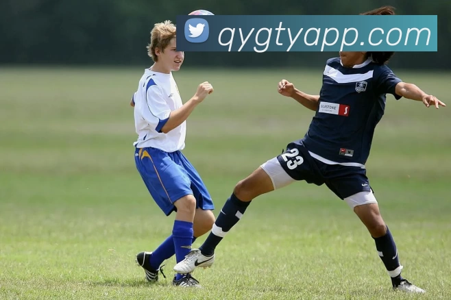 奇异果体育APPAPP 封面图