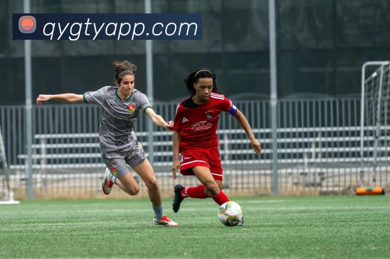 数据防护可视化